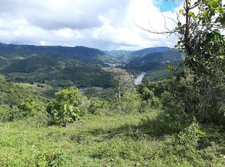State Highway 774, Comerio, PR 00782