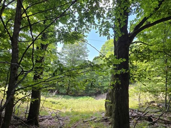 Ranch Dr, Bellaire, MI 49615