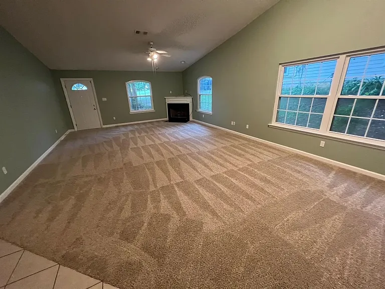 2456 Needle Palm Way — Photo 3
