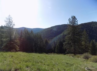 11 E Fork Cougar Creek Rd, Wauconda, WA 98859