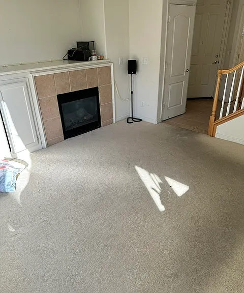 Living room / Fireplace