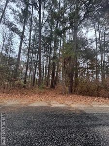 5 Hawthorne Dr, Bracey, VA, 23919