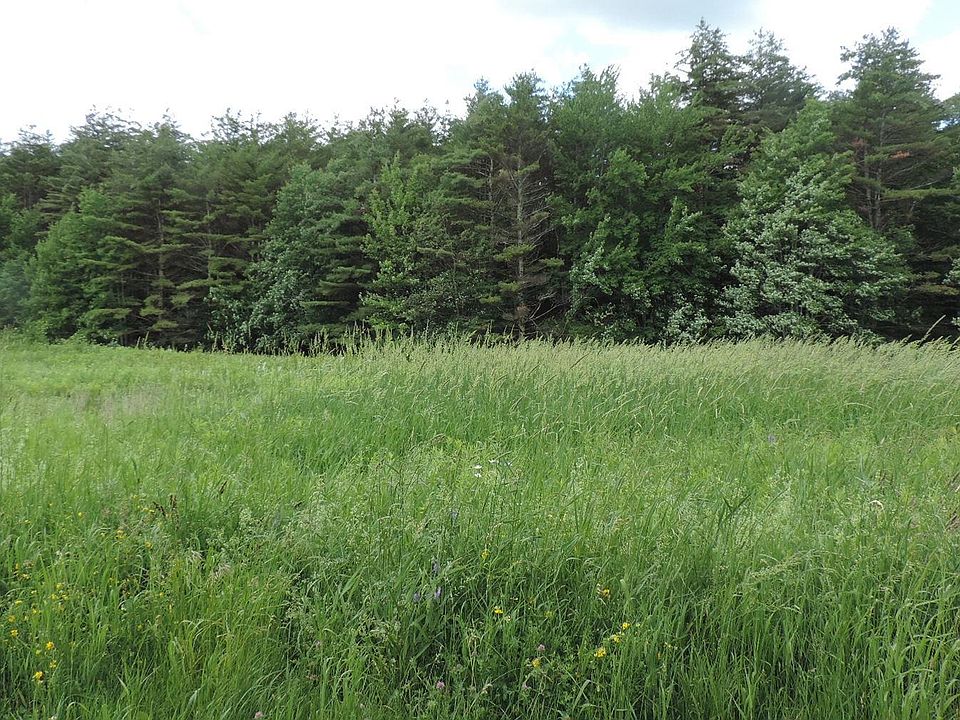 2927 Saw Mill Hill Road, Wells, VT 05774 Zillow