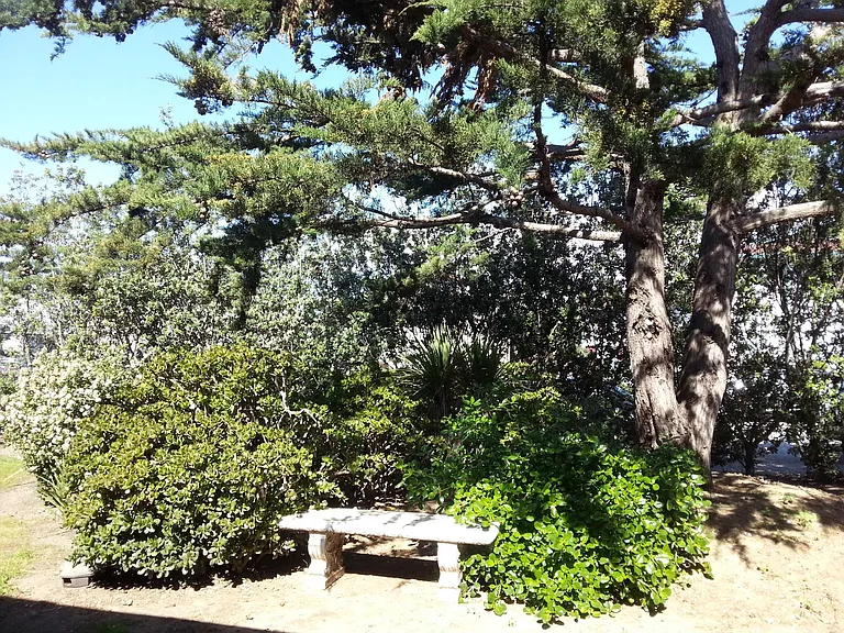 110 Monterey Rd #12A — Photo 10