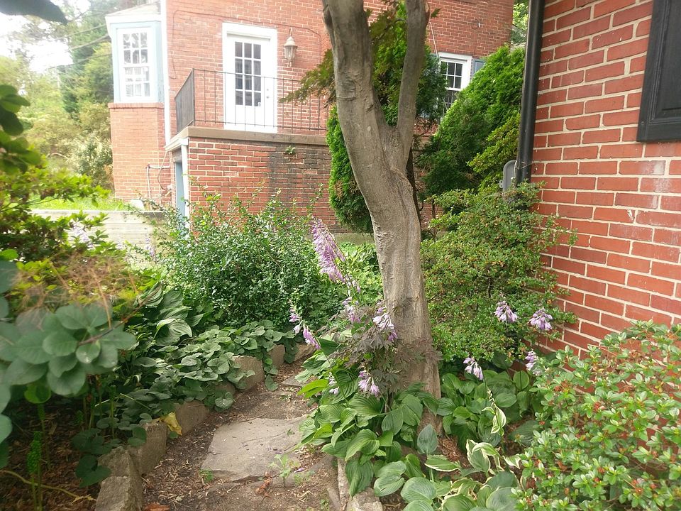View of Front