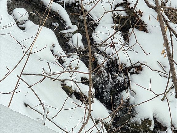 2nd image of Mormon Hollow Rd Lot 21