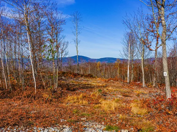 Lot 6 Mine Road, Stoneham, ME 04231