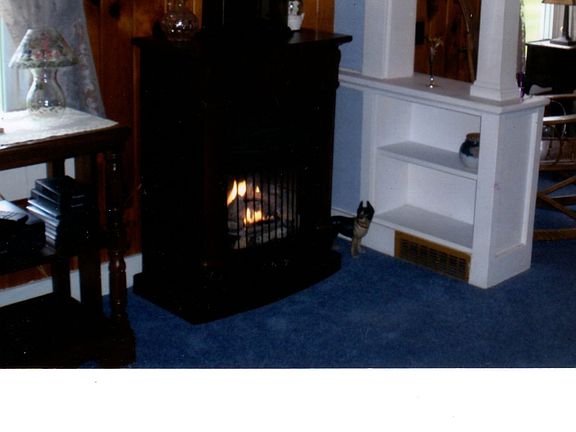 LR with fireplace