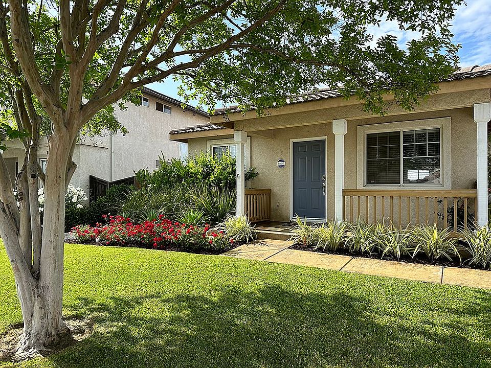 Lush Front Yard