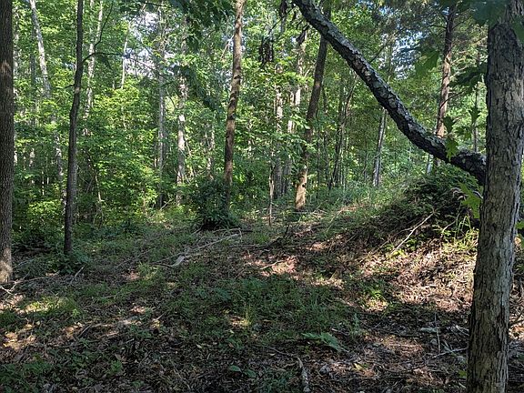 3rd image of 4439 Old Hohenwald Rd Lot 60