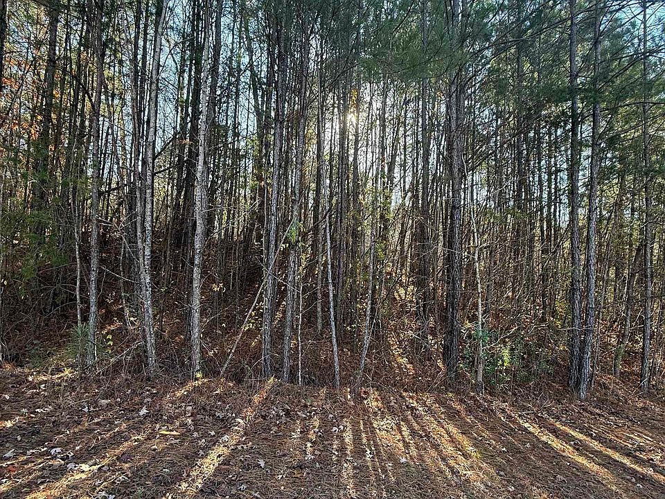 2nd image of 1018 Long Branch Pkwy #139