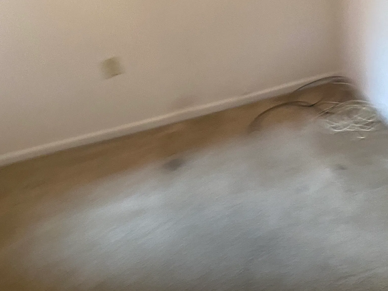 4 bed, 1066 sqft, $3,200 — Photo 3