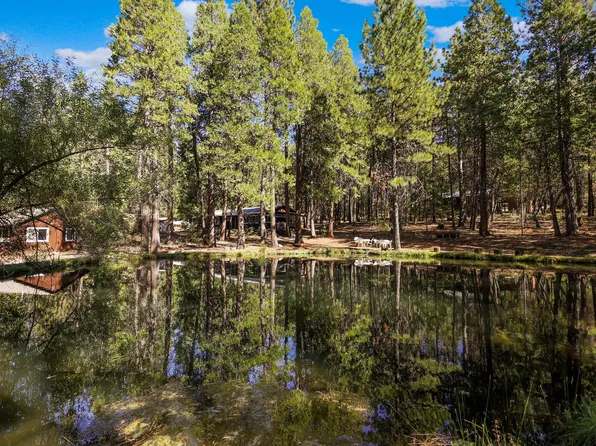 21800 Cedar Ridge Rd, Manton, CA 96059