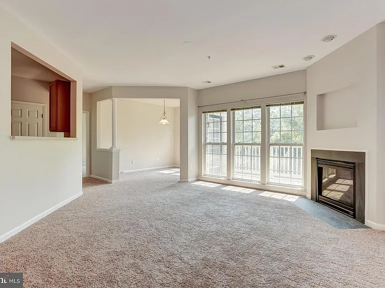 7230 Darby Downs — Photo 14
