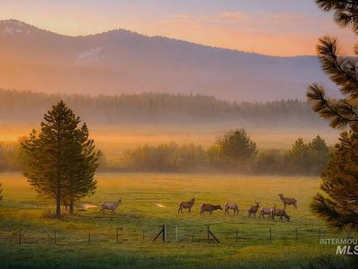 1217 Elo Rd, McCall, ID, 83638