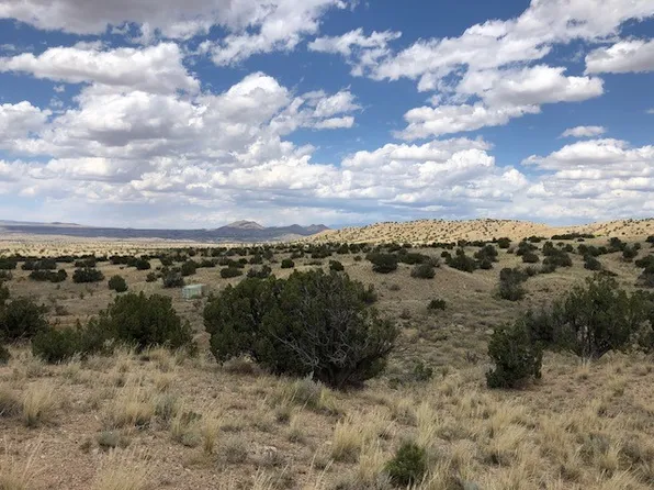 460 Camino Cerro Chato, Cerrillos, NM 87010