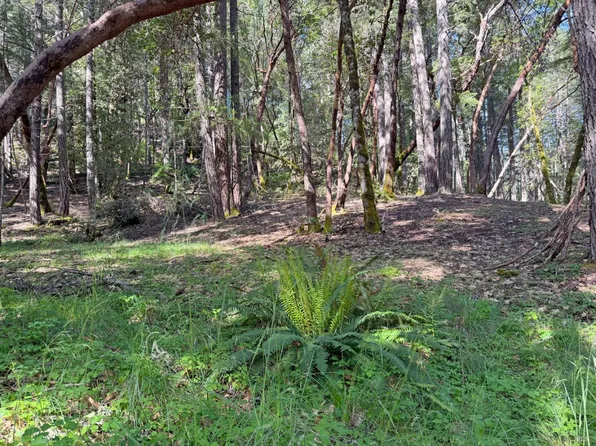 1666 Alcott Place, Willits, CA 95490