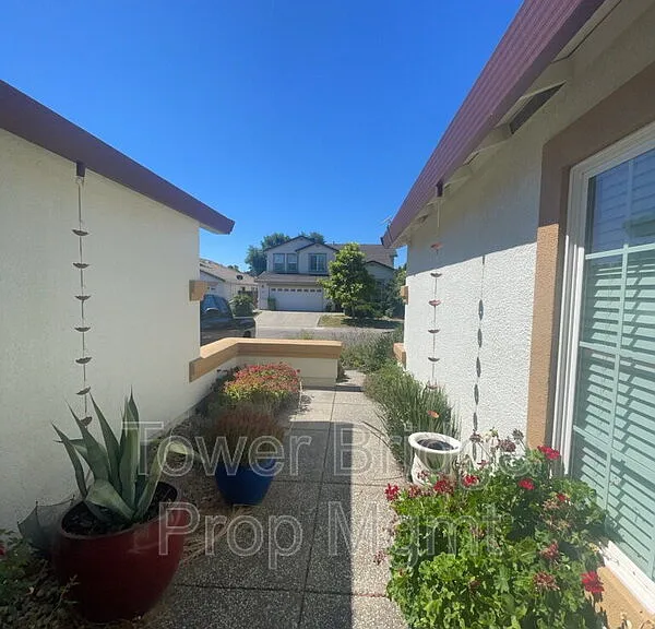 5501 Spring Falls Ct — Photo 6