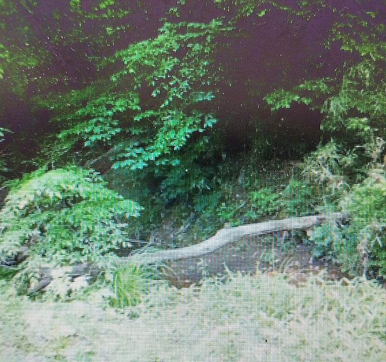 2nd image of Evans Rd