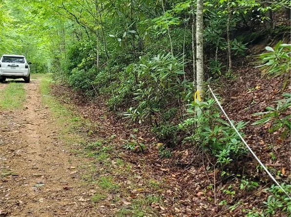 xx Gumtree Road, Beech Mountain, NC 28604