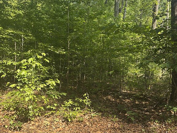 2nd image of Lewis Rd
