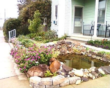 Pond