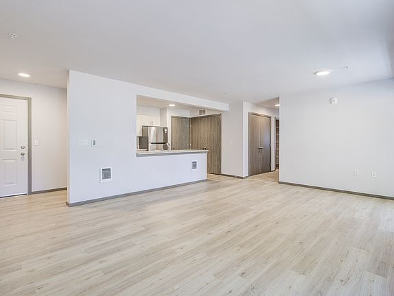 Livingroom, kitchen and entrance