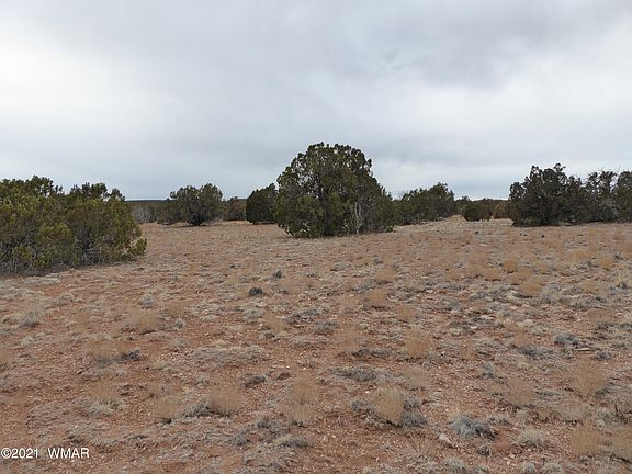 5th image of Apn #201-09-009B