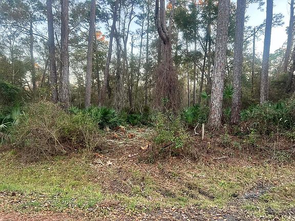 2nd image of 34 Gibson Rd
