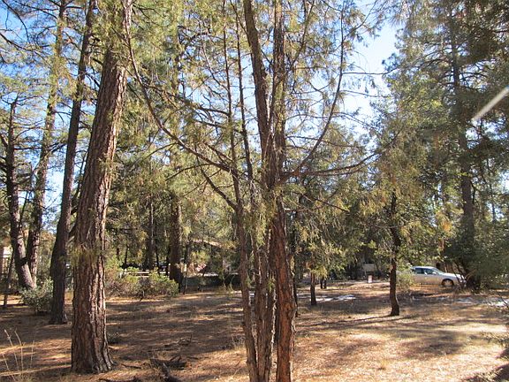 5th image of 814 N Ponderosa Cir