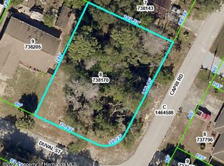 0 Capri Rd, Spring Hill, FL 34606