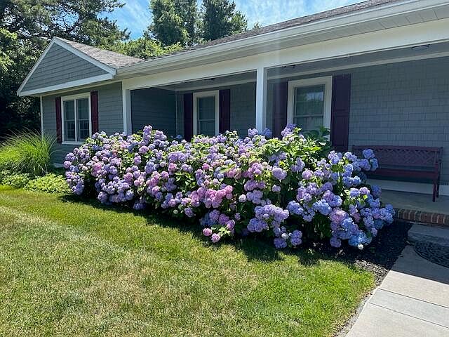 1st image of 25 Oxford Drive