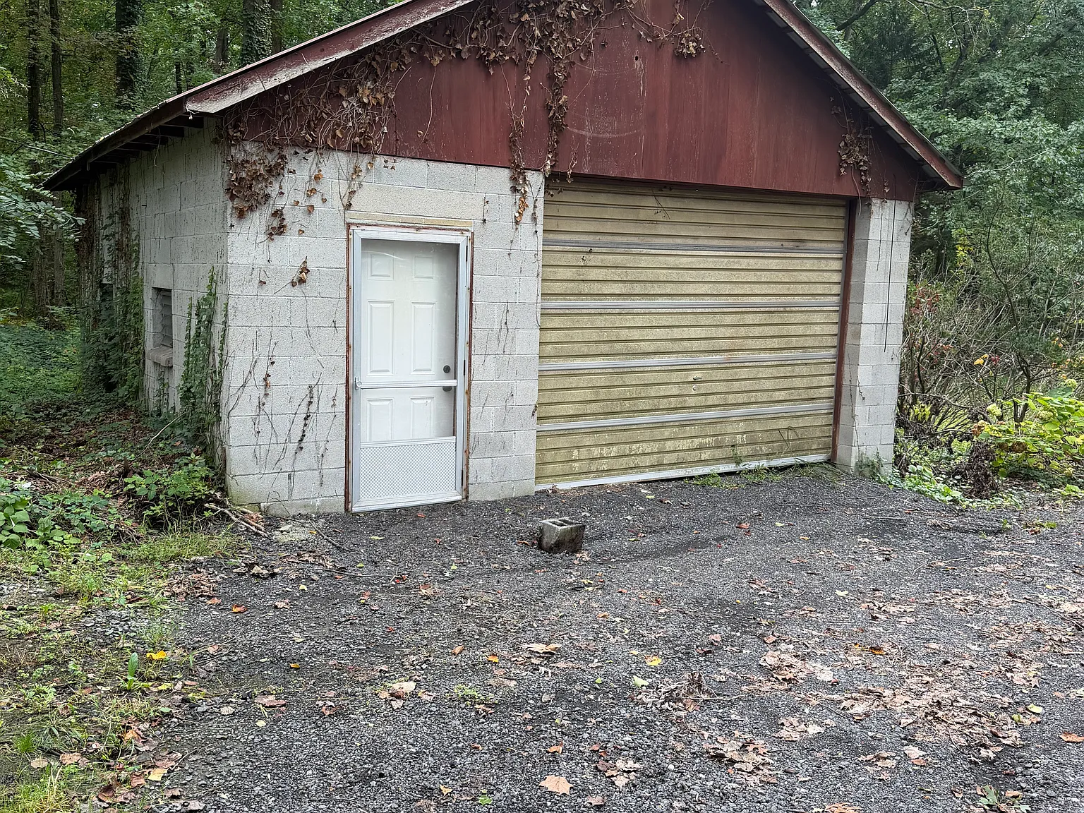 Studio, 424 sqft, $300 — Photo 2