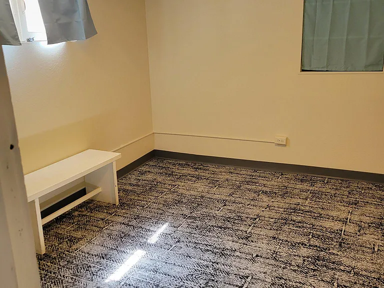Lower Level Bedroom