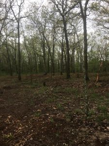 7 Patton Acres, Waynesville, MO, 65583
