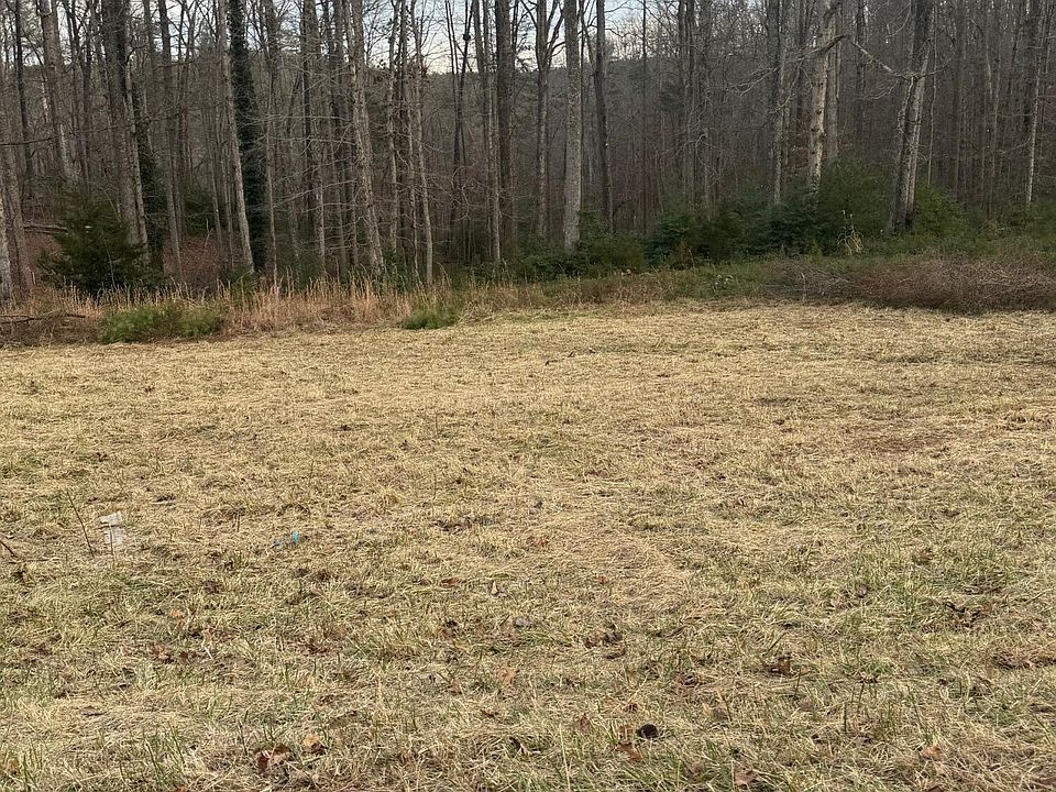 2nd image of 0 Henry Rd
