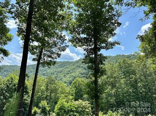 4110 French Broad Pkwy #55, Marshall, NC 28753