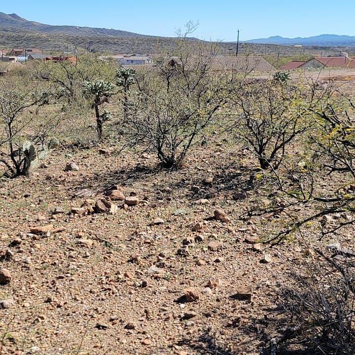 1st image of 1858 Circulo Glorieta Unit 309