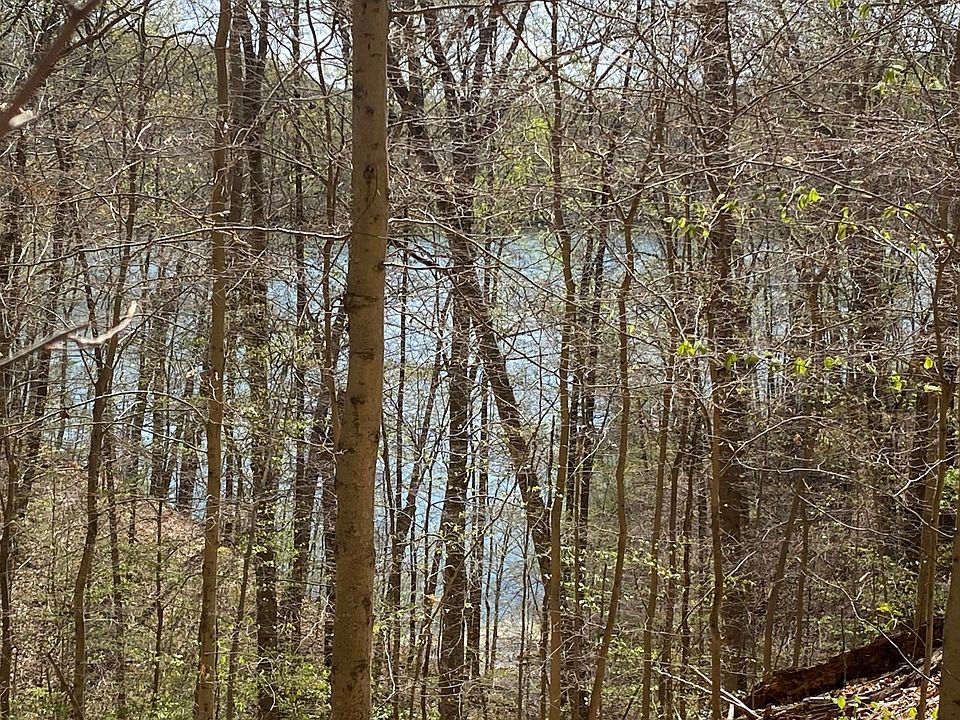 1st image of Norris Shores Dr
