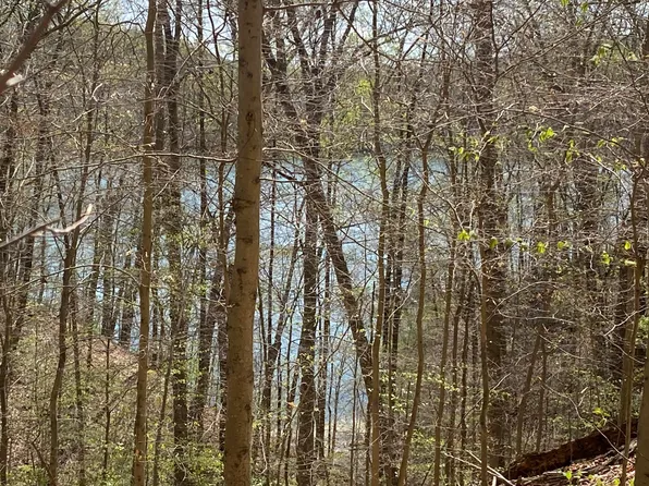 Norris Shores Dr, Sharps Chapel, TN 37866