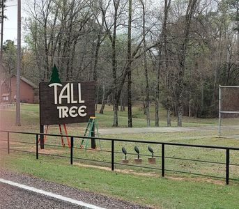 592 San Saba Ln, Mount Vernon, TX, 75457