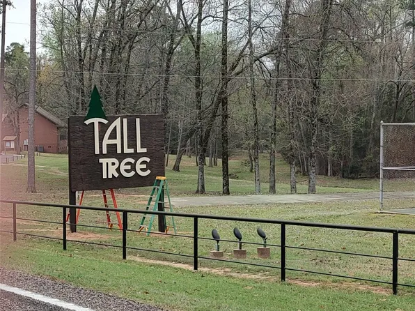 592 San Saba Ln, Mount Vernon, TX 75457