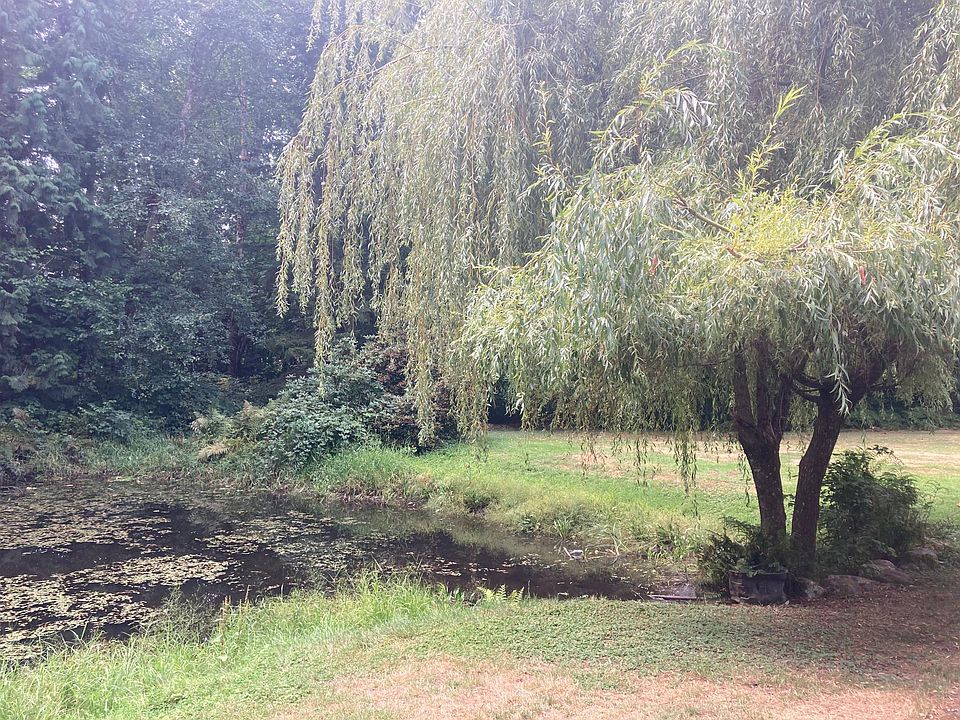 Pond on property with weeping willow tree (ducks, turtles and fish can be seen at various times at our pond)