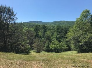 208 Durkin Rd, North Creek, NY 12853