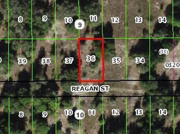 2412 Reagan St, Inverness, FL 34453