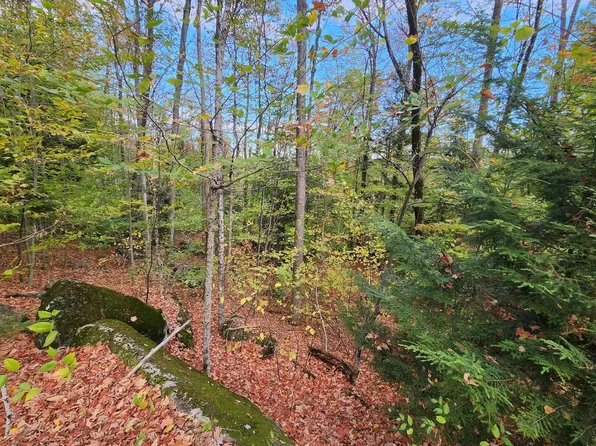 0 Bagley Hill Road #66, Warner, NH 03278