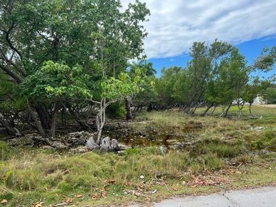 L6 Granada Ln, Big Pine Key, FL, 33043