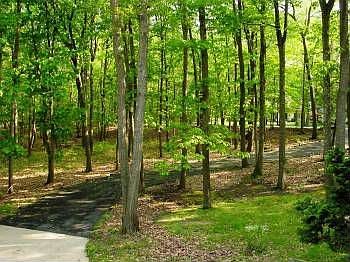 3rd image of 17 Deer Trail Dr