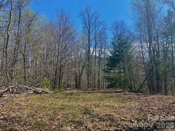 0 Scenic View Dr #1 & 2, Green Mountain, NC 28740