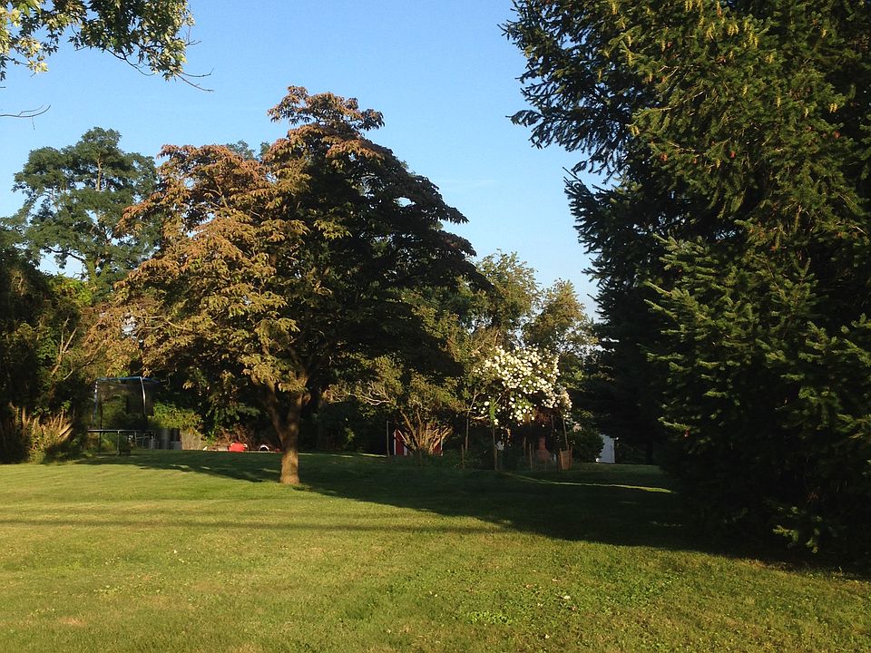 Vacant Lot-Back Yard